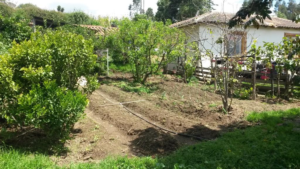 Loma Wasi Alojamiento Rural Indigena En Cotacachi Exterior photo