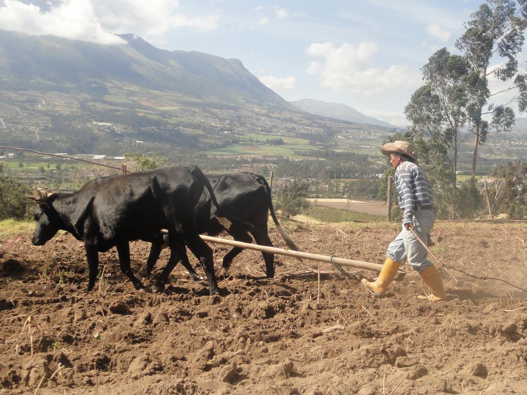 Loma Wasi Alojamiento Rural Indigena En Cotacachi Exterior photo