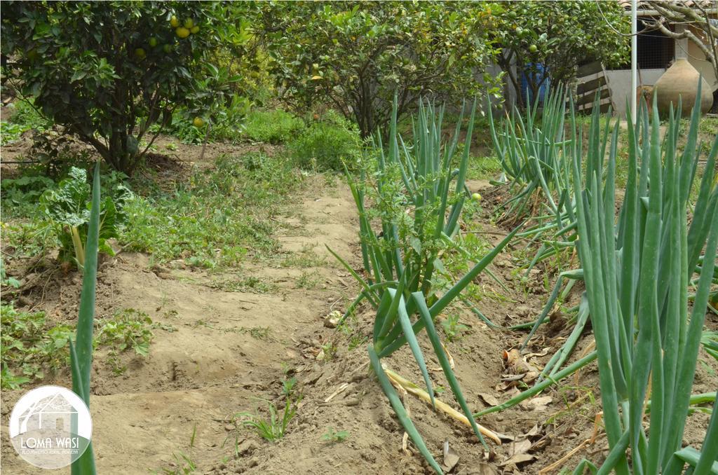 Loma Wasi Alojamiento Rural Indigena En Cotacachi Exterior photo