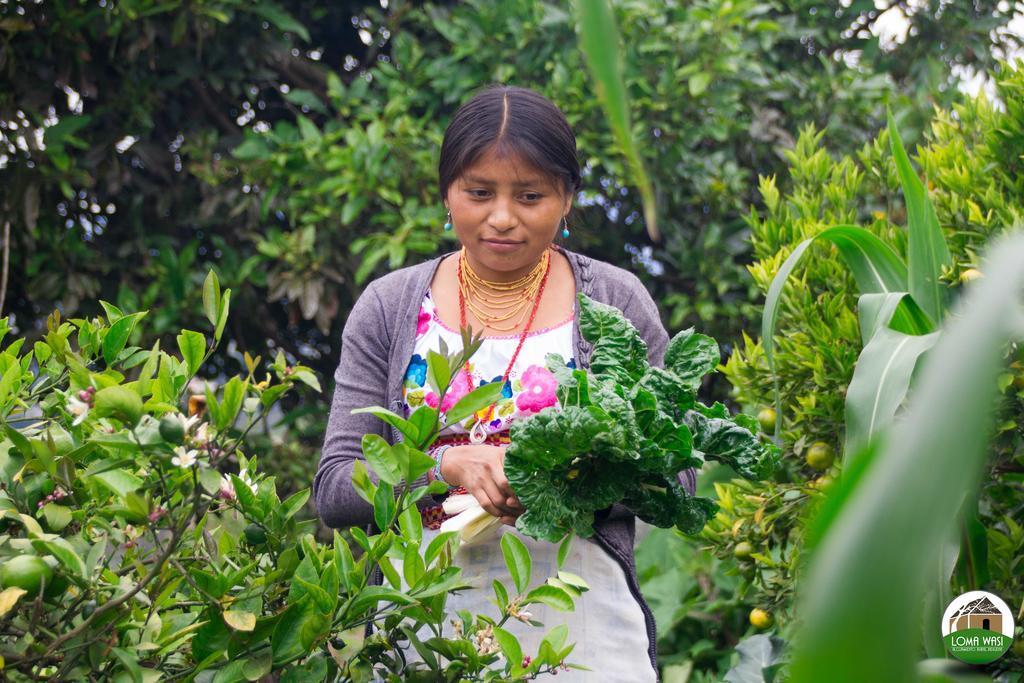Loma Wasi Alojamiento Rural Indigena En Cotacachi Exterior photo